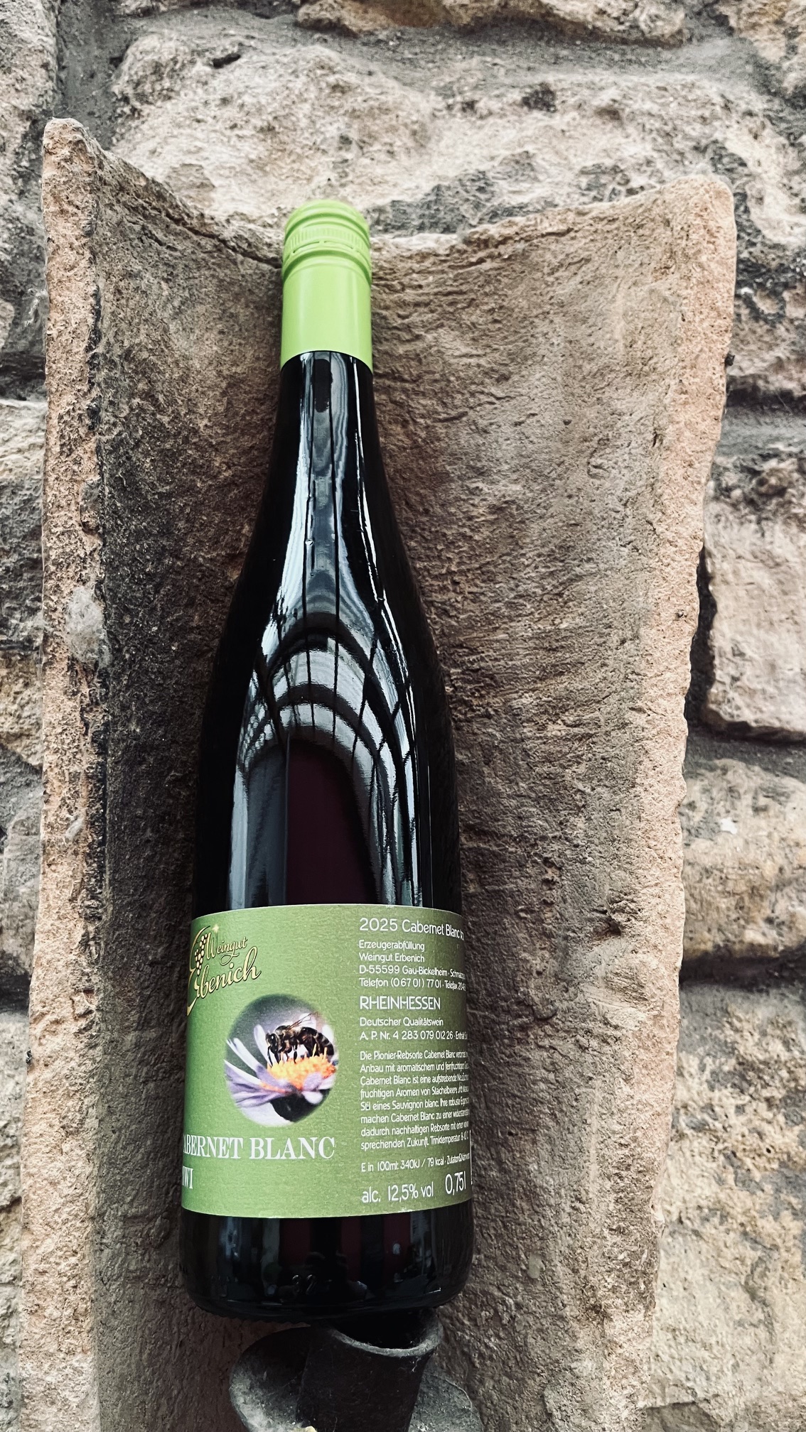Piwi Cabernet Blanc 2025 Neuer Jahrgang
